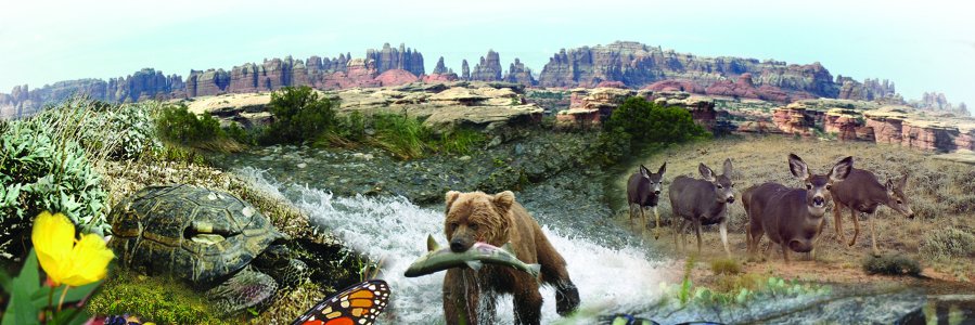 USGSCoopUnits 🐾 🎣 banner