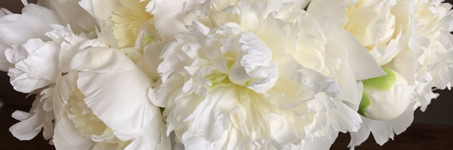 capps_i's profile banner image