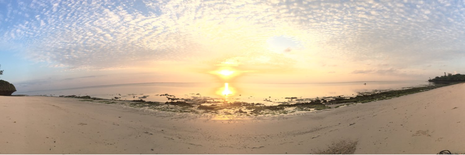 manailleurs's profile banner image
