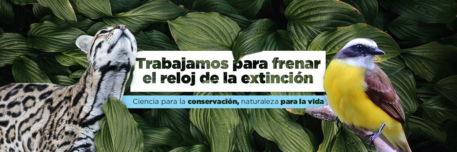 ProCAT Colombia/Intl banner