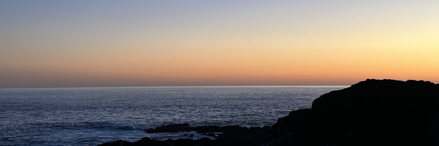 Danicah Waldo banner