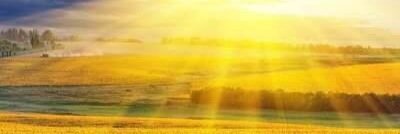 ttcanuto2005's profile banner image