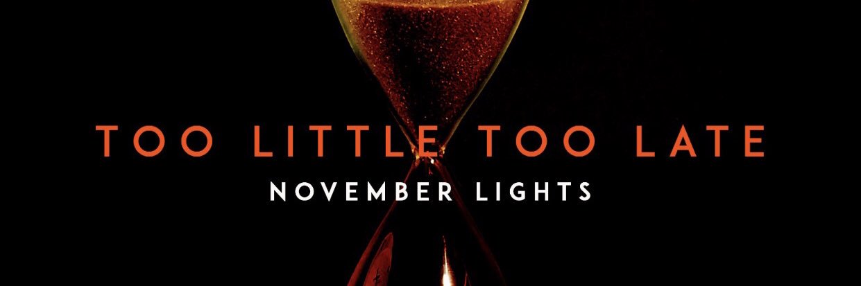 NOVEMBER LIGHTS banner