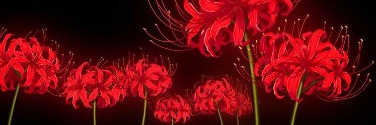 yuukiPNG's profile banner image