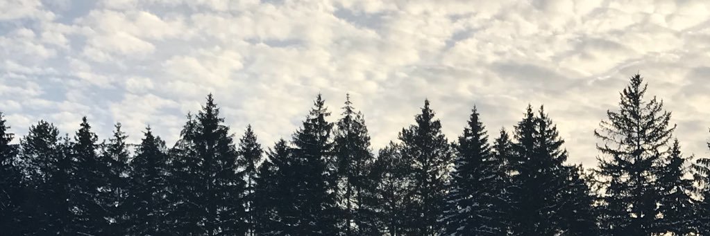CloeeSimoneau's profile banner image