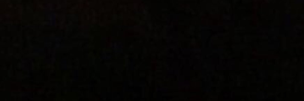 itsbearlynn's profile banner image
