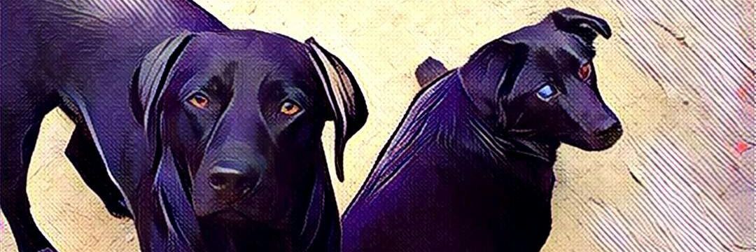 danny2014b's profile banner image