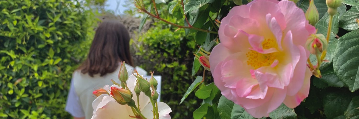 SimonLevq's profile banner image