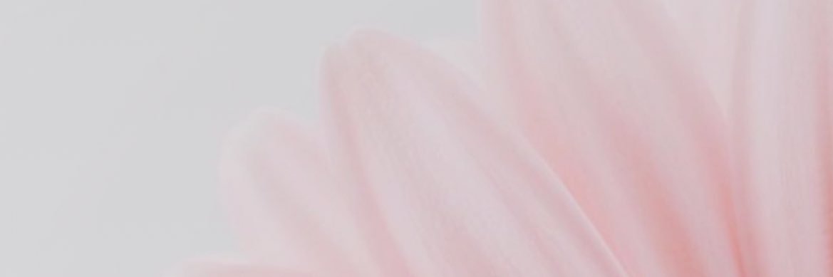 FiusaThais's profile banner image