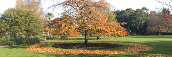 katepricethomas Profile Banner