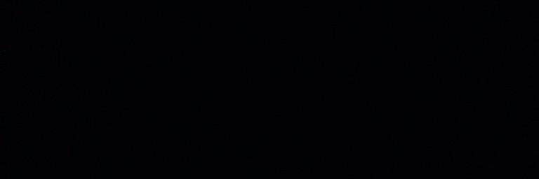BlackLotusParty's profile banner image