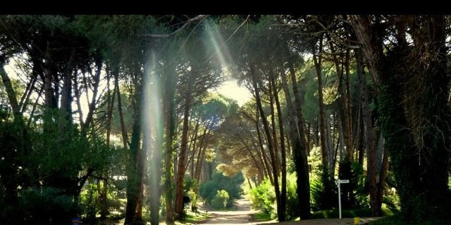 edithdeborasoto's profile banner image