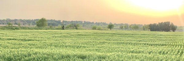 SaadHTamman Profile Banner