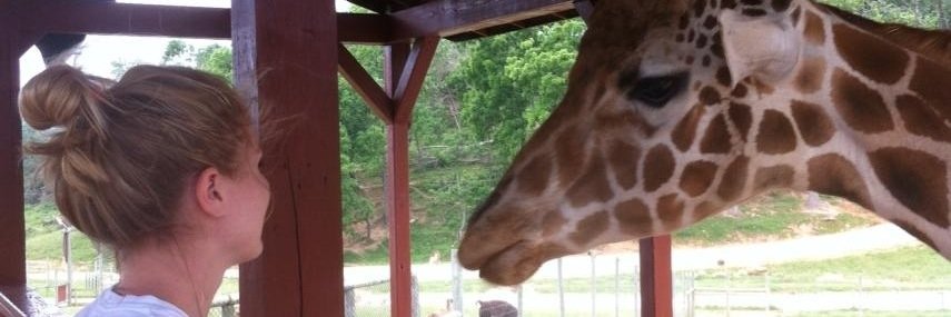 kim_amerell's profile banner image