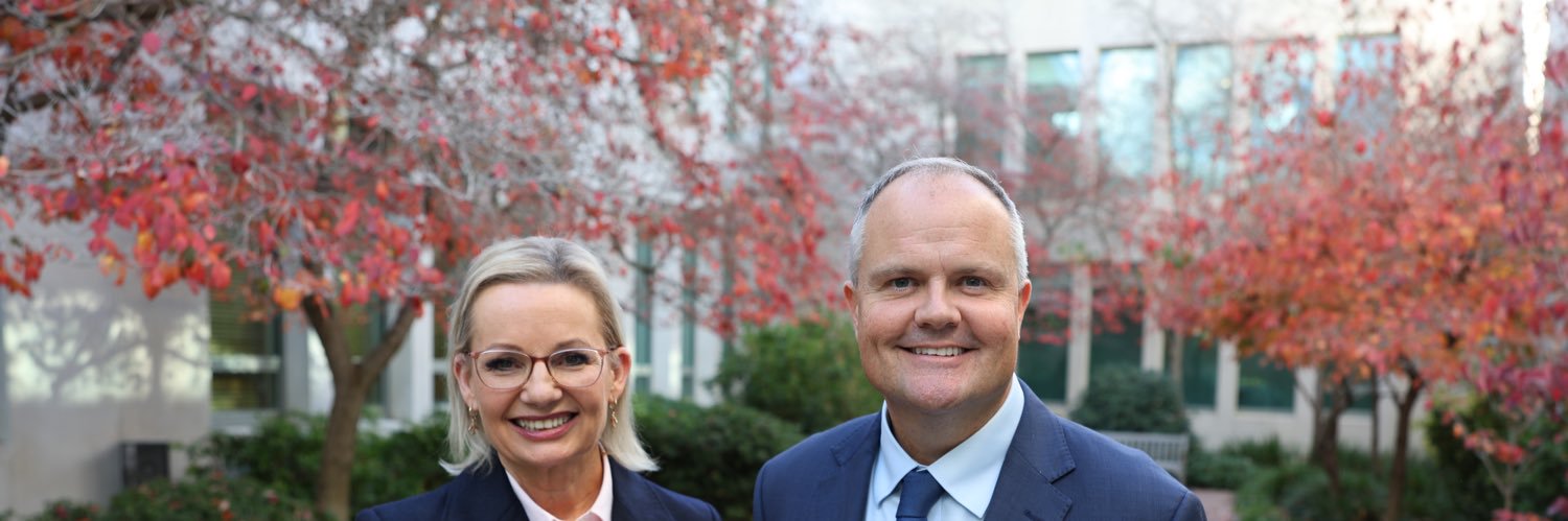 Liberal Party's banner