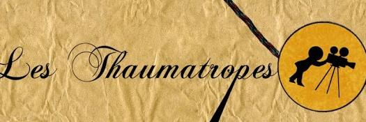 lesthaumatropes's profile banner image