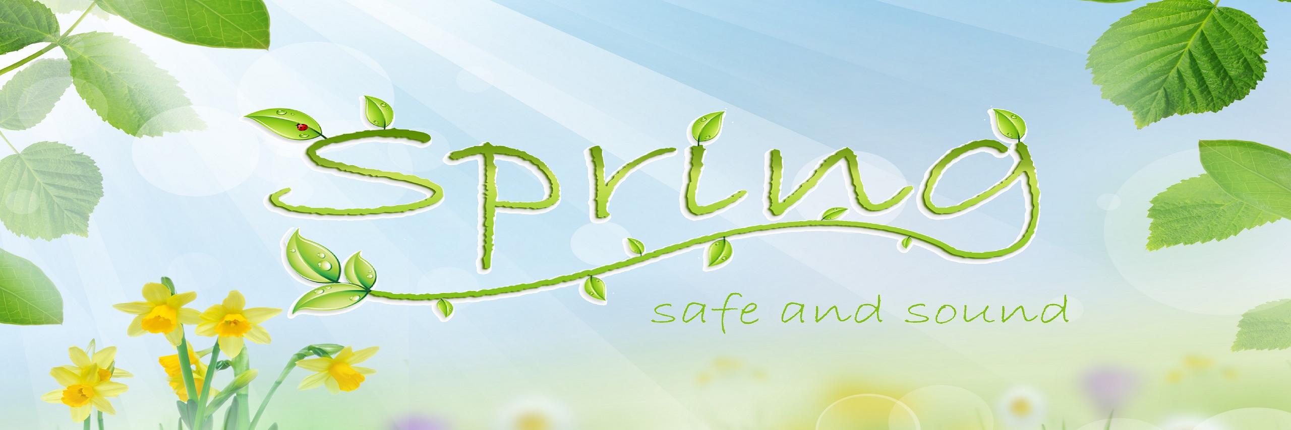 spring_concepts's profile banner image