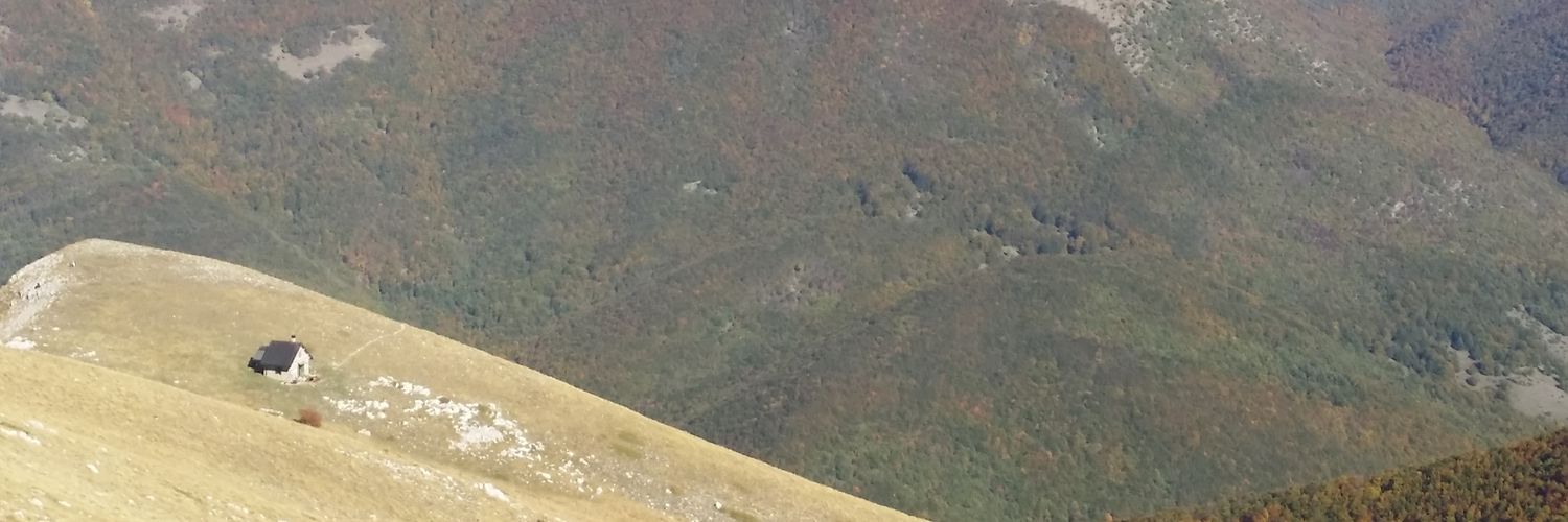 io non sono qui banner