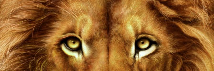 ttsotetsi72's profile banner image