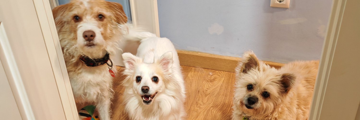 lidcol_'s profile banner image