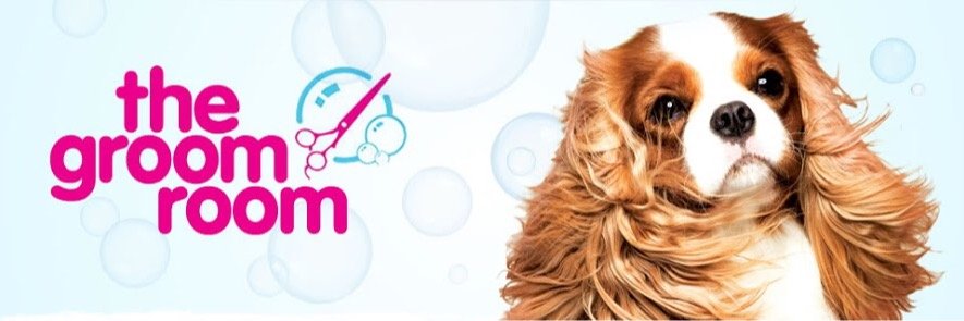 PetsathomeH's profile banner image