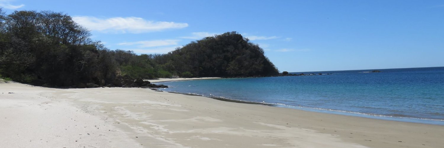 jerome Dessaily banner