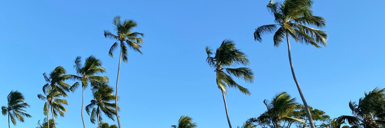 Veronicvanolli's profile banner image