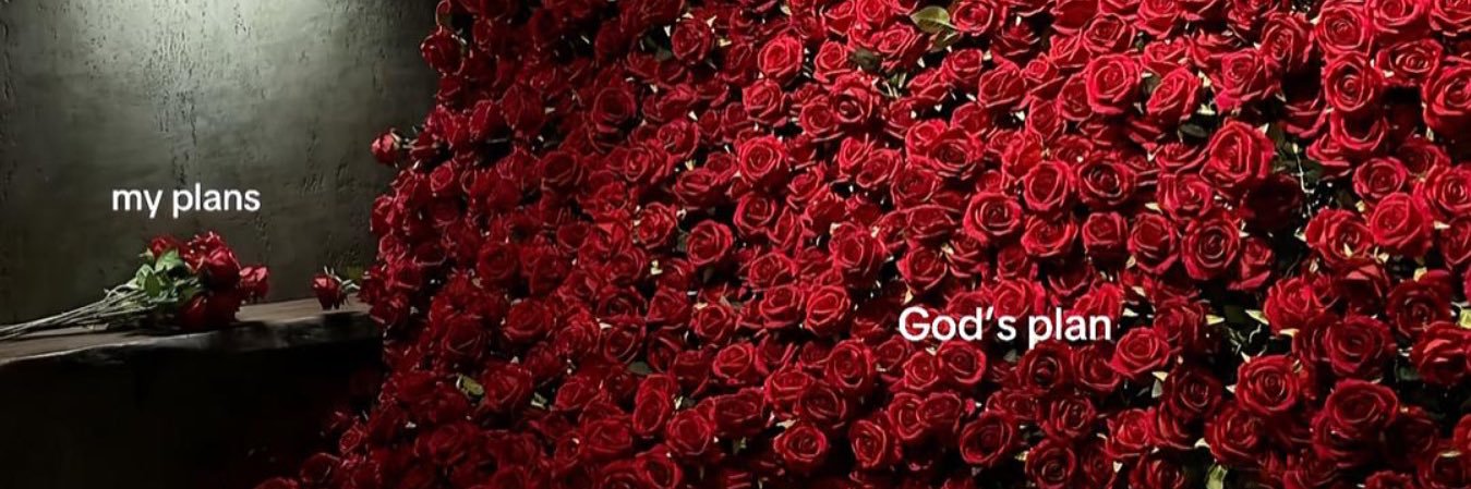 𝙇𝙤𝙮𝙖𝙡𝙩𝙮 🪽 banner