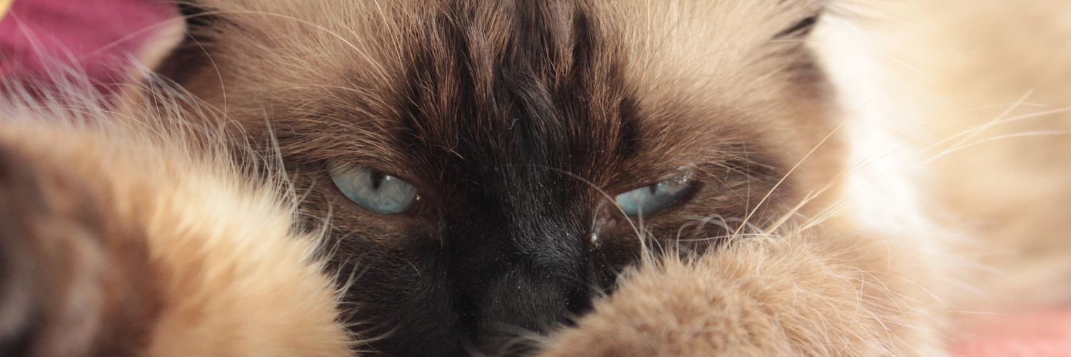 ltrn61's profile banner image