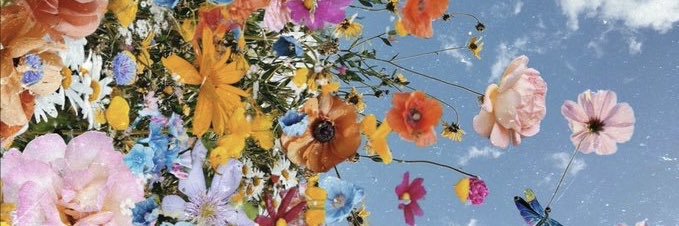 fleursnl's profile banner image