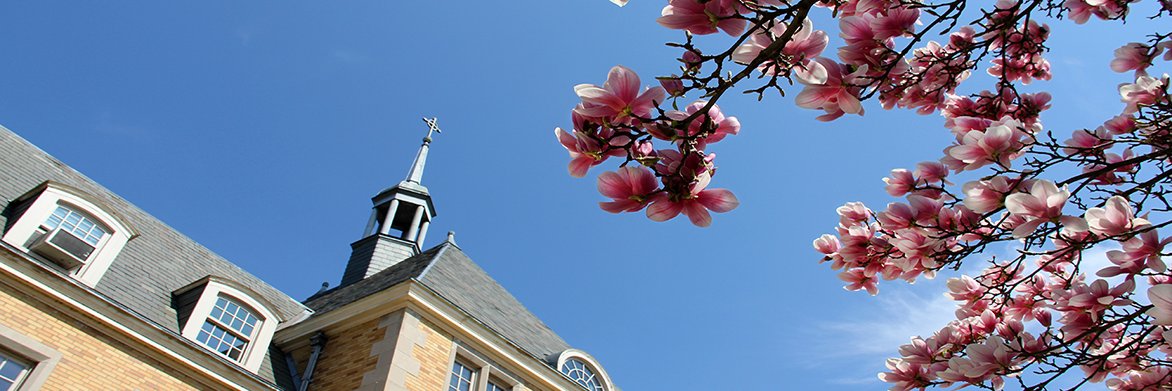 SMC_GradStudies's profile banner image