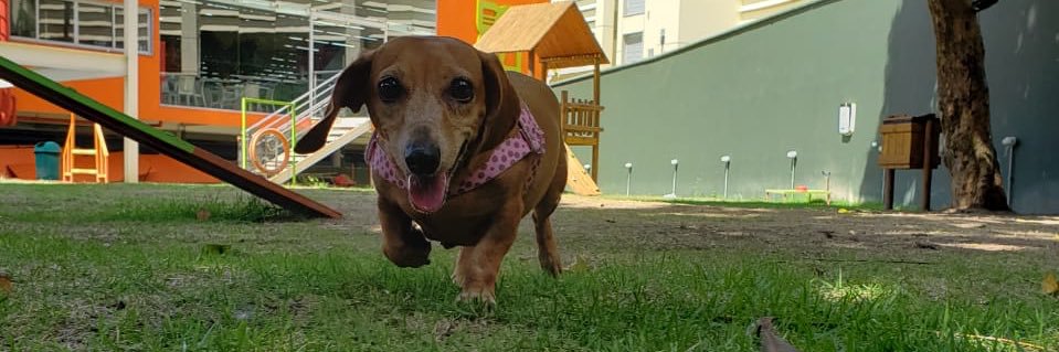 moraessfernanda's profile banner image