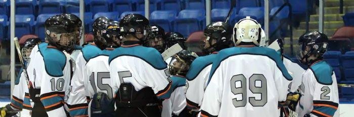 SharksMCYHA's profile banner image