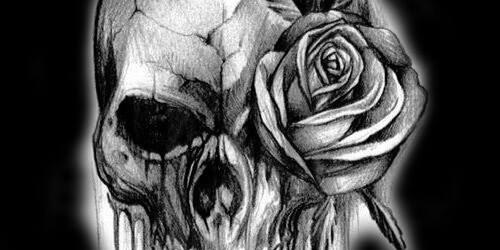 cynova_r's profile banner image