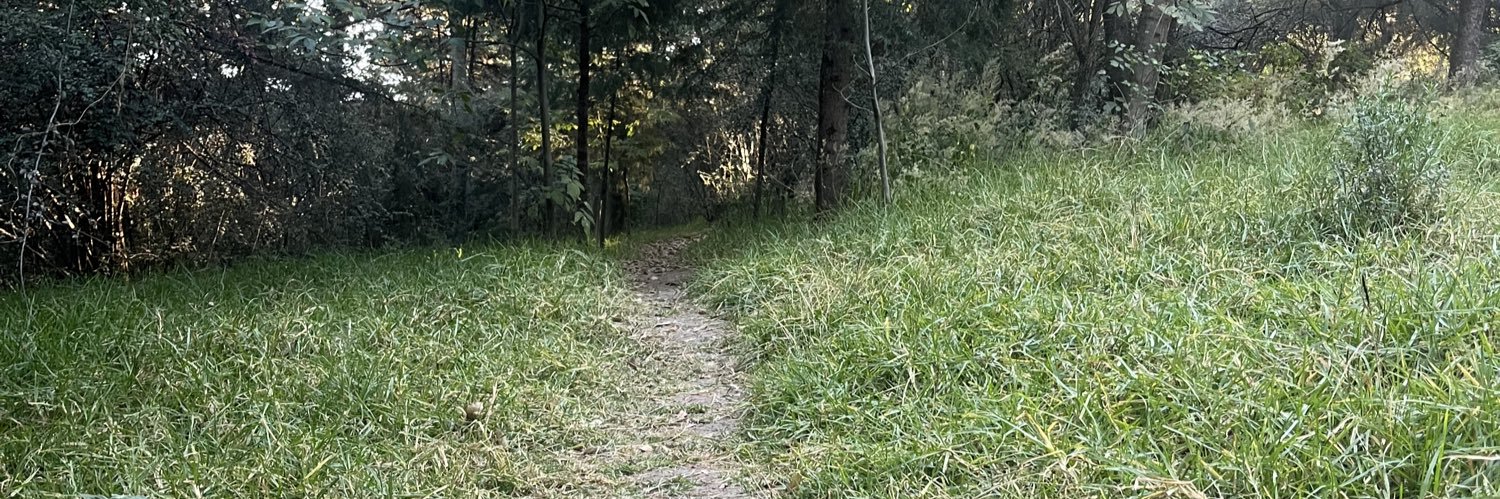 Silvia Loría C. 🖤 banner