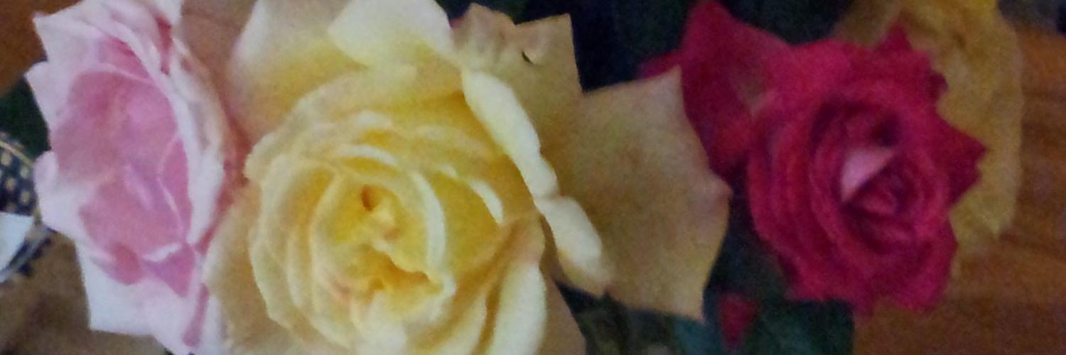 mariamercè⚘ banner