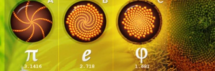 ▪️ابن زيدون 🖋 🇸🇦 banner