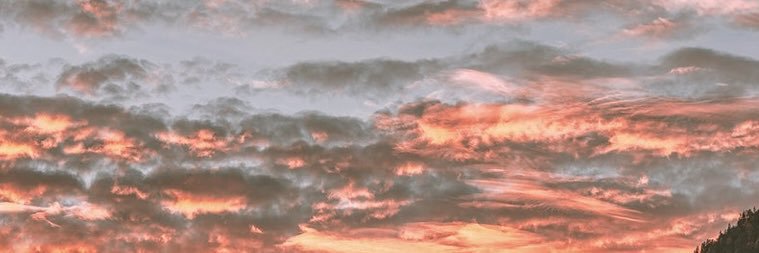 AllisonLarock1's profile banner image