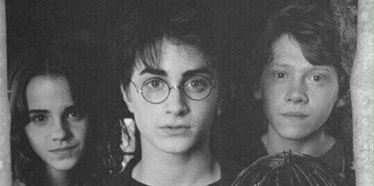 mandissantos's profile banner image