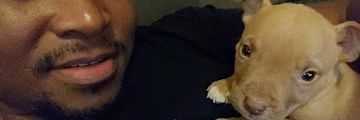 Wushe 🇿🇦 banner