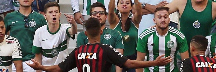 Bruno Santoro Ribeiro Haluch banner