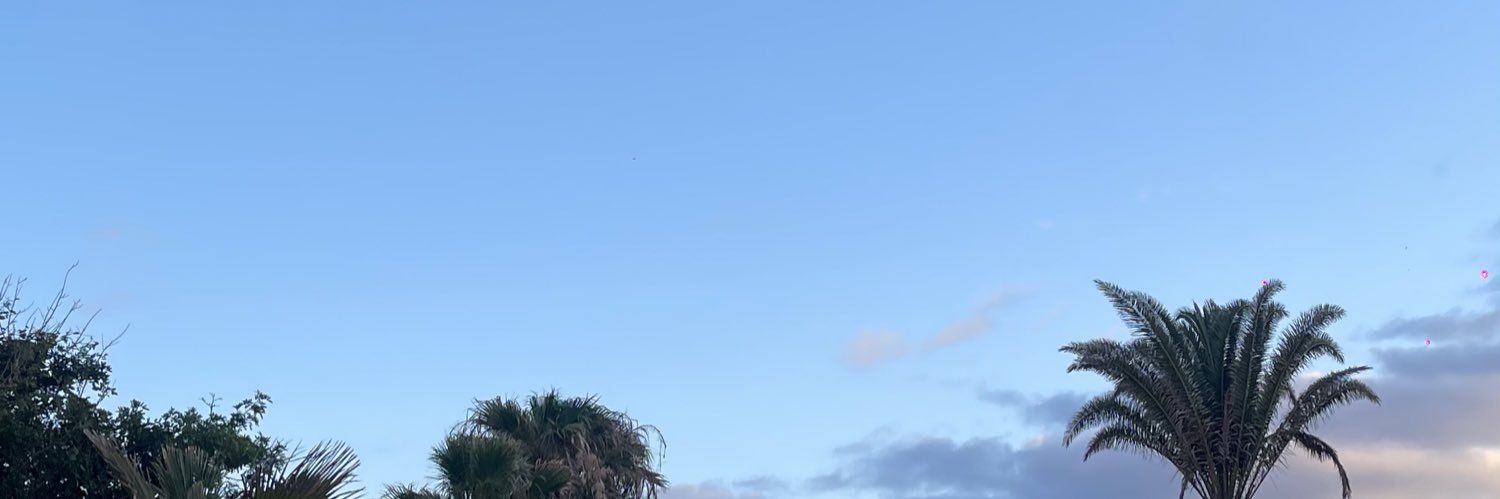 nahiaplaya's profile banner image