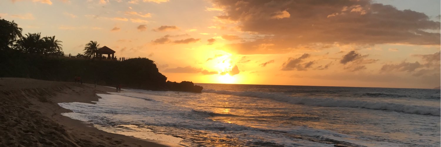 melba_acosta's profile banner image