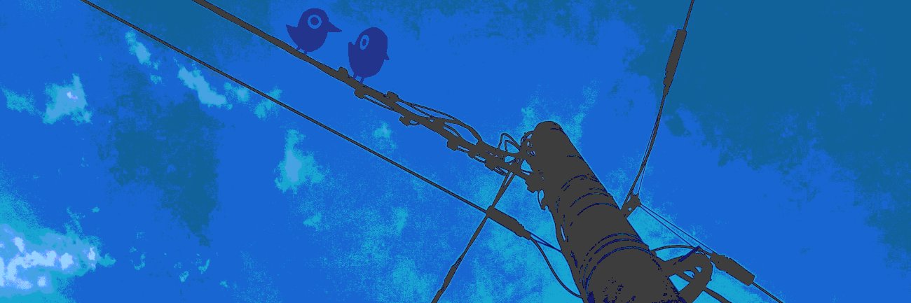 kip's banner