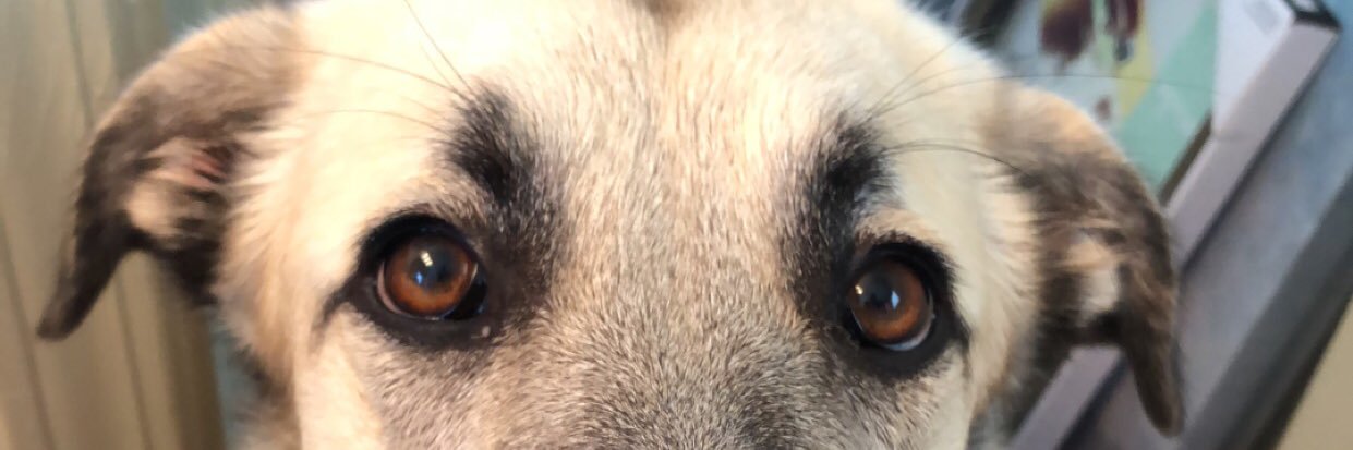 throwsumchlo's profile banner image