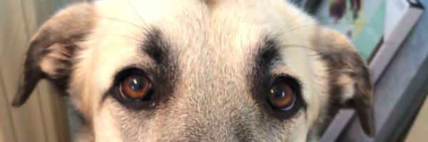 throwsumchlo Profile Banner