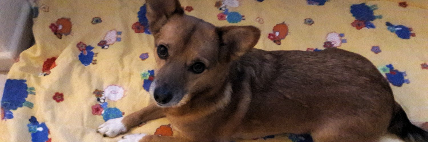 Heidizeugs's profile banner image