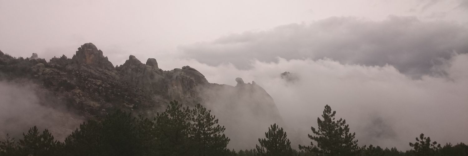 coconut_frank's profile banner image