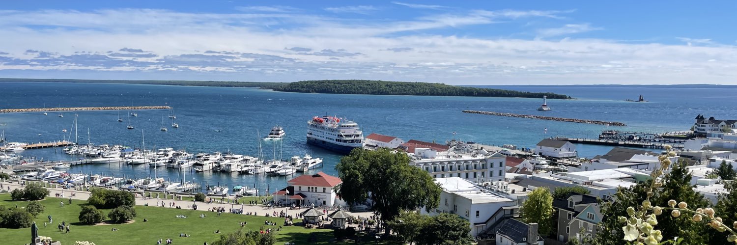 DR. MSC. JD. MBA. Cat/Dog banner