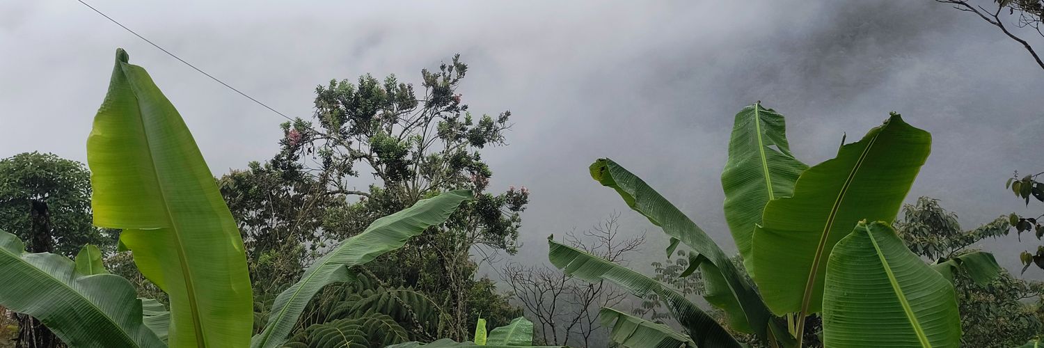 RayitoSra's profile banner image